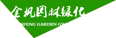 四川物流、轎車(chē)托運(yùn)、成都配送、成都首選物流公司